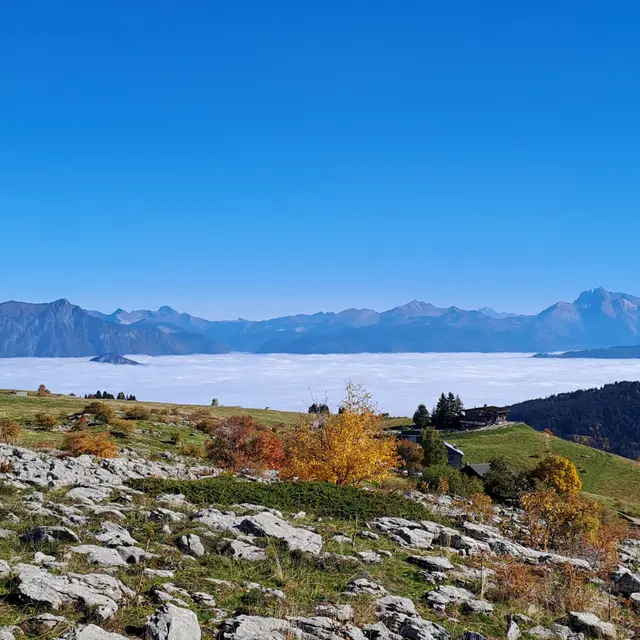 journées européennes du patrimoine 2026 : Randonnée pédagogique vers la glacière_Brizon