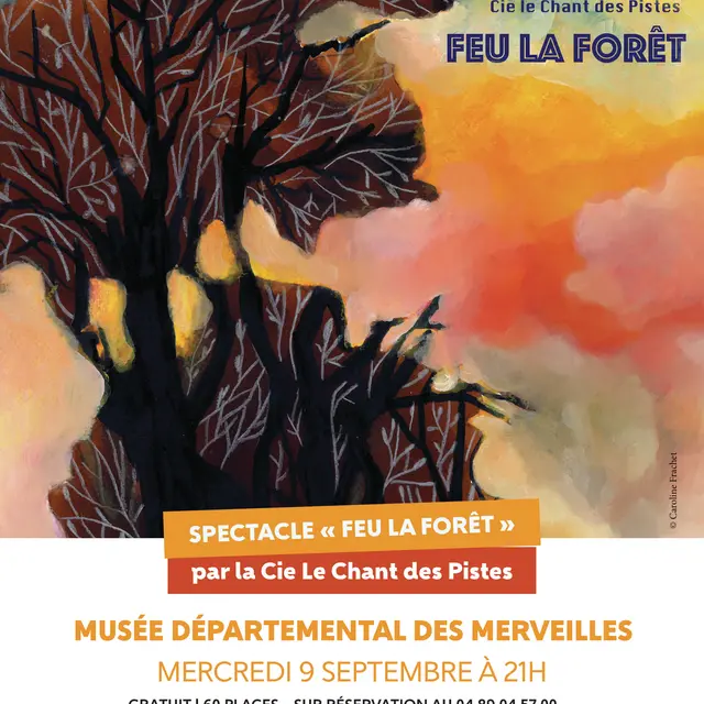 Spectacle Feu la forêt_Tende
