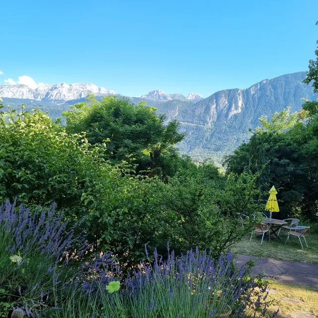 Hôtel Bellevue_Ayse