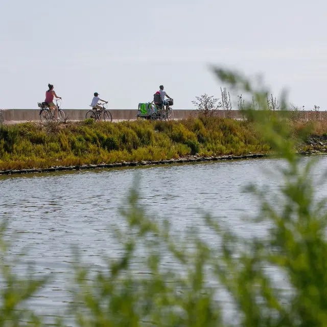 Pistes cyclables à Loix