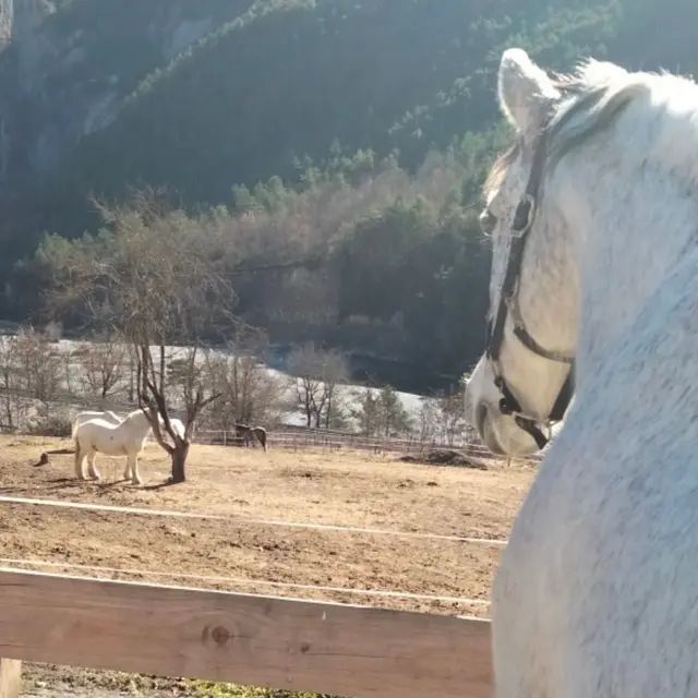 Domaine équestre des Vals d'Azur