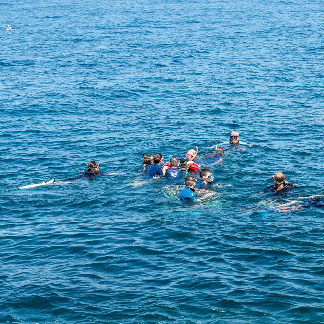 Randonnée subaquatique - palmes, masque, tuba_Antibes