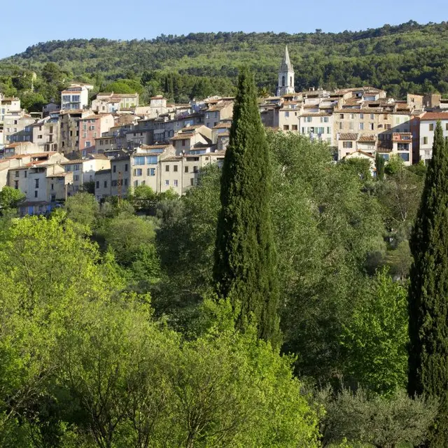 Maison au coeur des oliviers_Callas