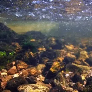 Les Musik'eaus (4-7 ans) - Maison du Marais de Lavours_Ceyzérieu