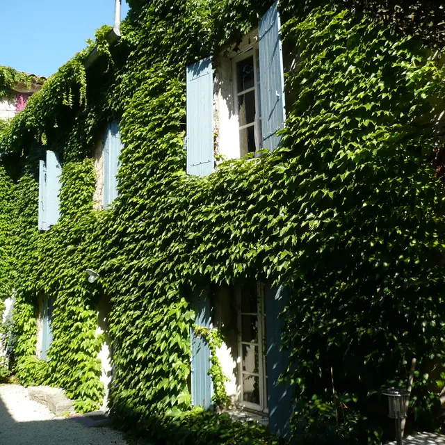 Gîte l'Autre Côté du Lavoir à Saint Didie