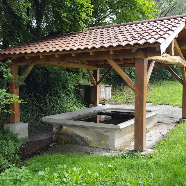 Lavoir cicruit du petit patrimoine Luzillat