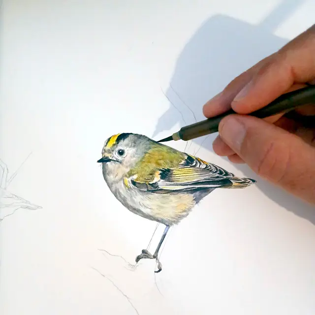 LE CHÂTEAU INVITE : Jessica Cognard_Sallanches