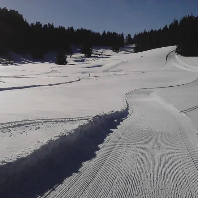 Pistes de fond La Ruchère