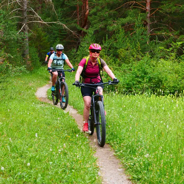 VTT Enduro - Chemin du Facteur