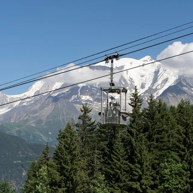 Visite Art et Science : Gypaète Barbu - Artocène_Saint-Gervais-les-Bains