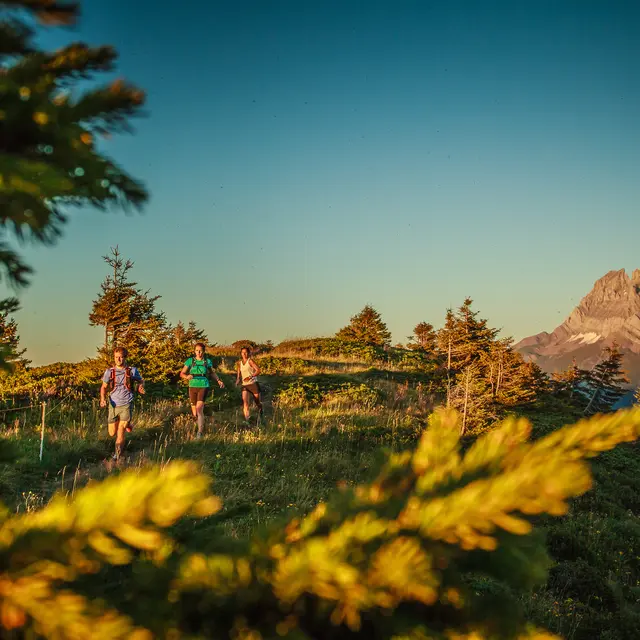 Trail running Portes du Soleil