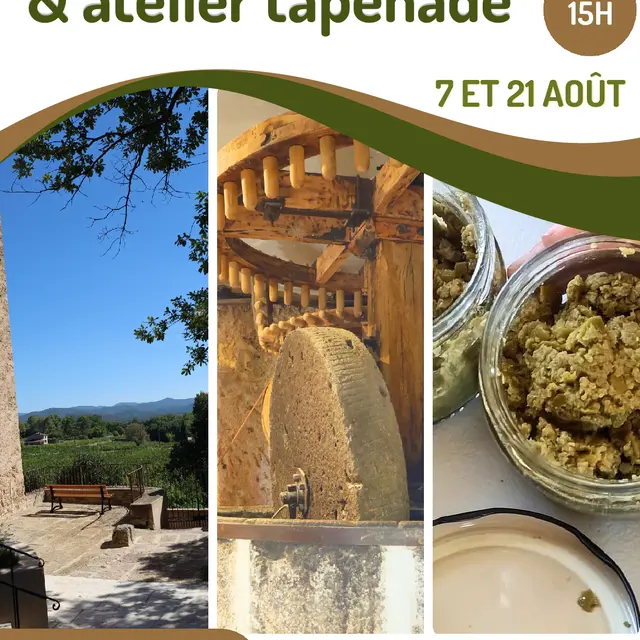 Bastide Sainte Cécile Pôle e-culturel- Visites gourmandes_Les Arcs sur Argens