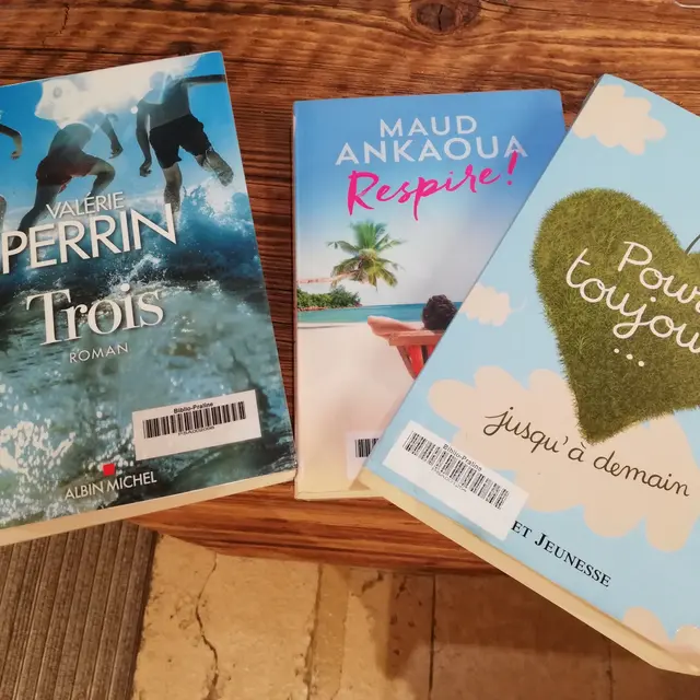 vente de livres