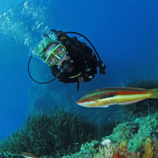 Le sec des carrières à Porquerolles