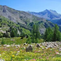 Parc National du Mercantour