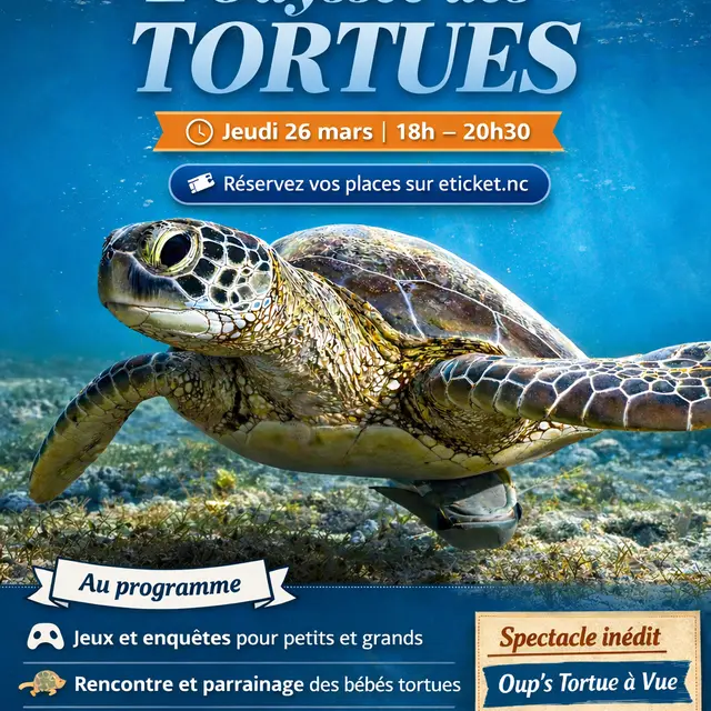 L'Odyssée des Tortues_Nouméa