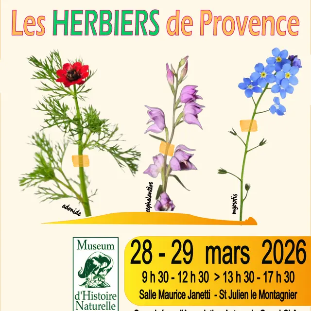 Exposition : Les Herbiers de Provence_Saint-Julien le Montagnier