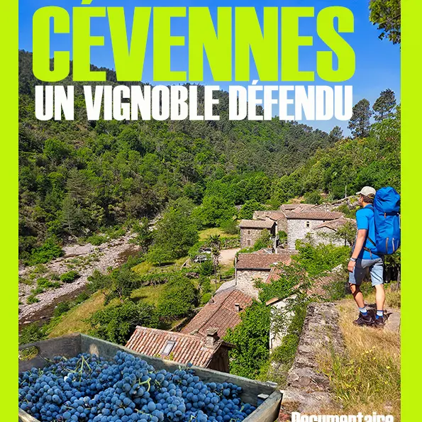 Cévennes, un vignoble défendu_Chambon