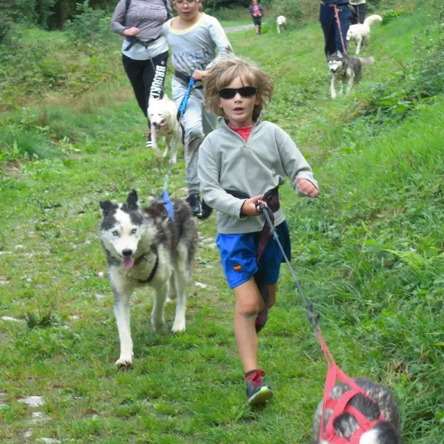 cani randonnée