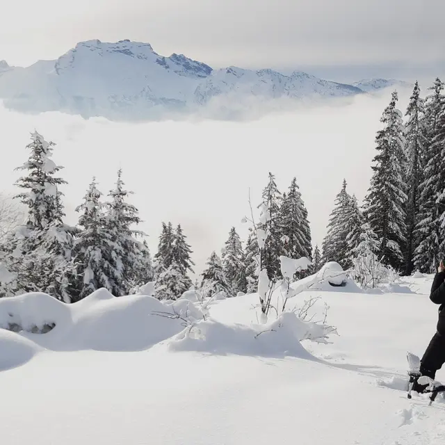 Randonnée collective en raquettes avec le Bureau Montagne Annecy-Aravis_La Clusaz