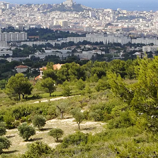 Séances d'entraînement observations Inaturalist, CNC 2026_Marseille