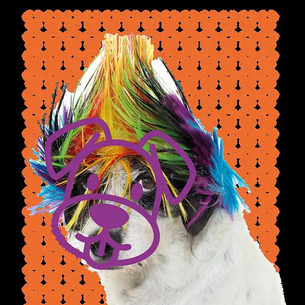 Spectacle  Thélonius et Lola_Briançon