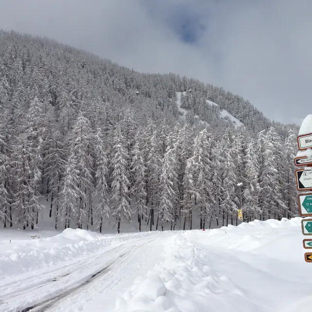 Chalet JOUBELLE 3.6 Les Oursons - Réallon