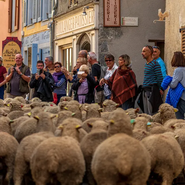 Revendran Fête de la Transhumance à Colmars