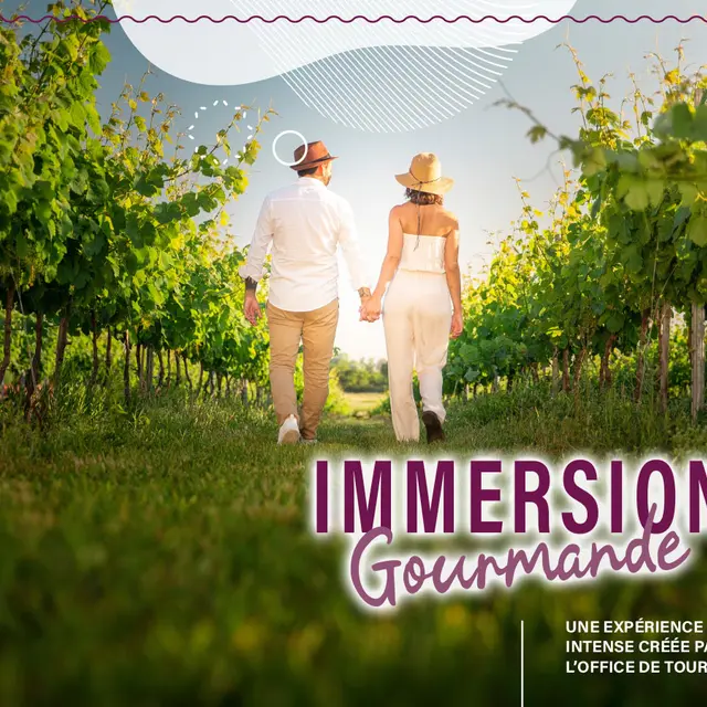 Visite guidée dans les vignes