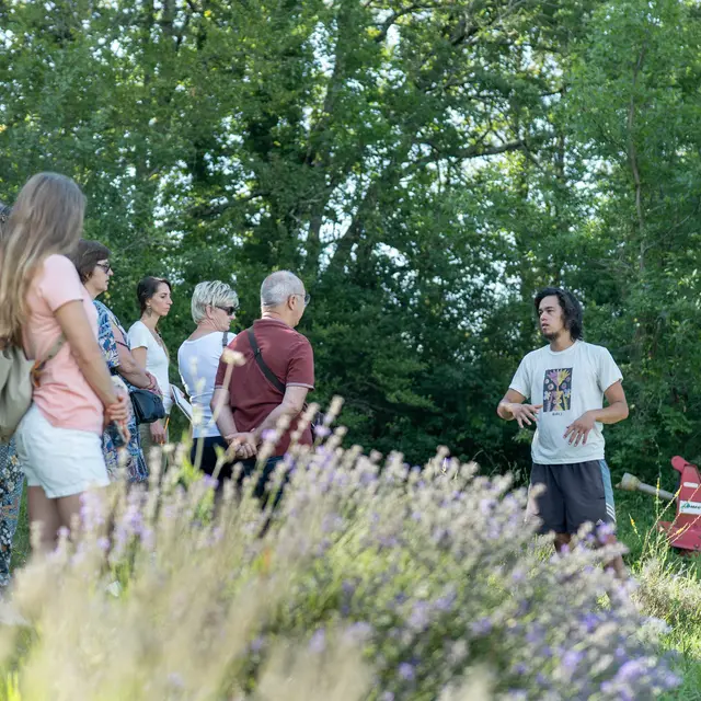 Herba Robert_L'Honor-de-Cos