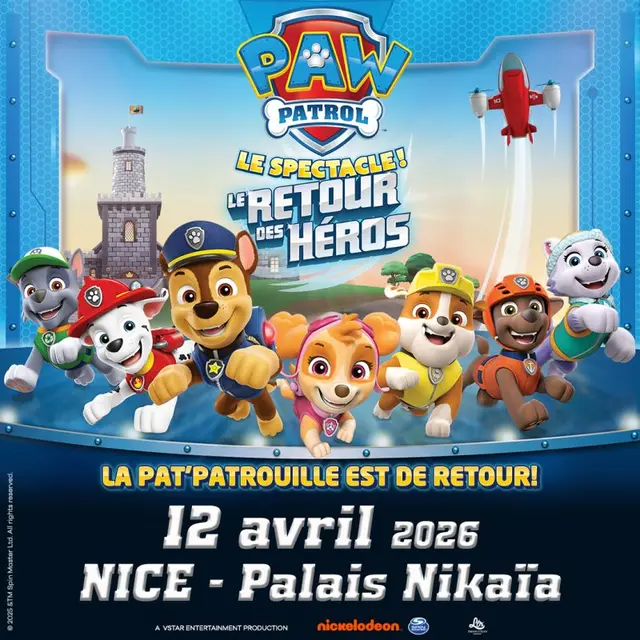Pat' Patrouille - Le retour des héros_Nice