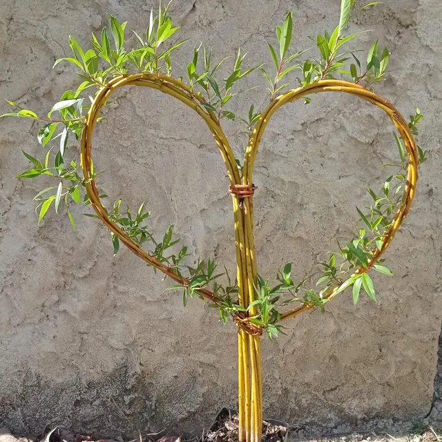 Atelier vannerie au jardin : tontine et pot tressé_Trescléoux