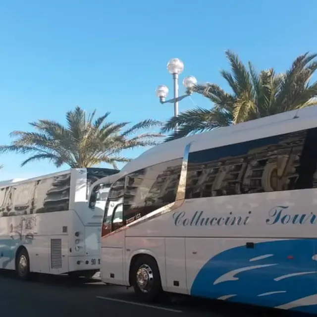 collucini