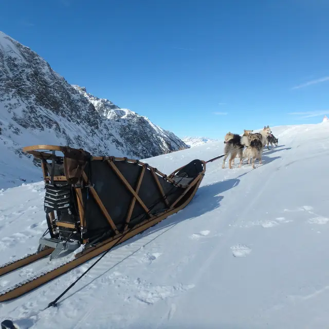 Baptême assis en chien de traineau_Molines-en-Queyras