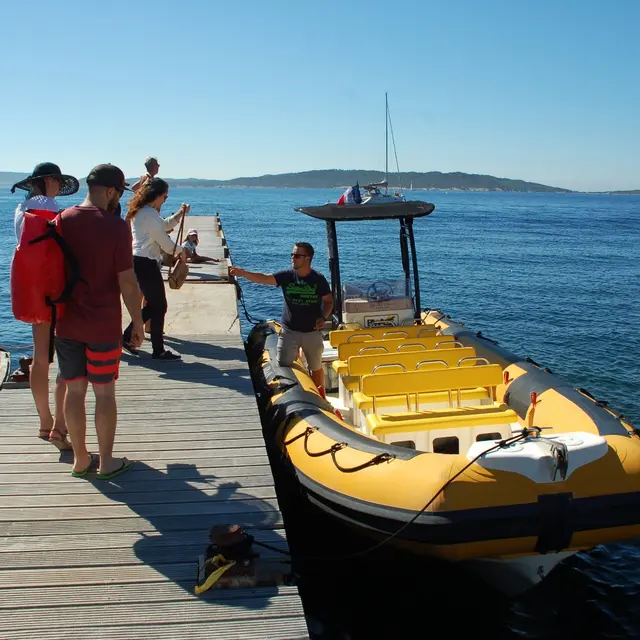 Balade en mer Hyères