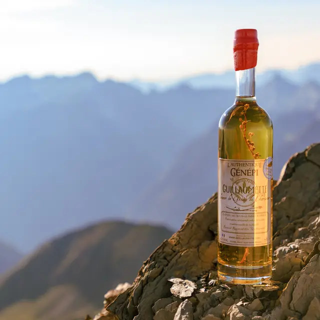 Génépi Guillaumette
