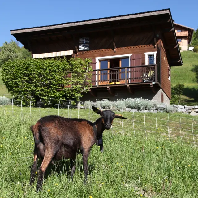 Chalet Blondet