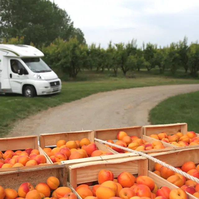 Etape avec France Passion