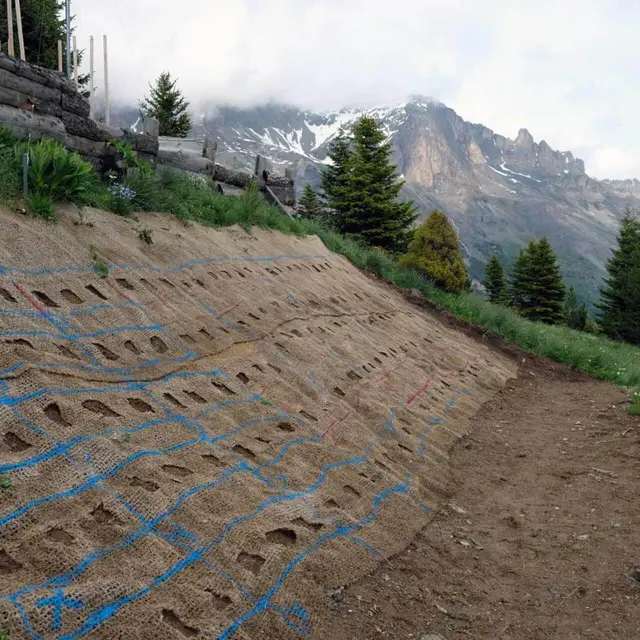 Restaurer les talus de montagne, semences sauvages ou commerciales ?_Villar-d'Arêne