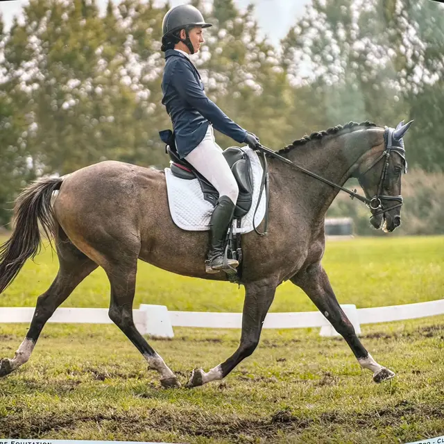 Ecurie LDB_Montbartier