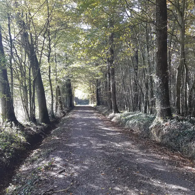 Circuit VTC-VTT n°4 (rouge) - La Voie Royale_Montrevel-en-Bresse