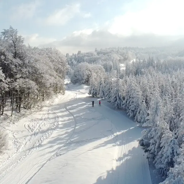 Ski