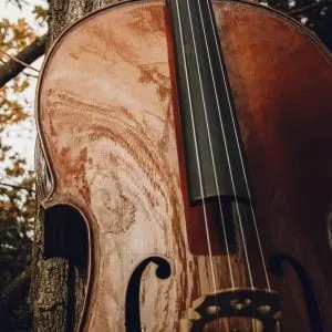 Concert : NoukPouk - Orchestre de violoncelles_Chabeuil