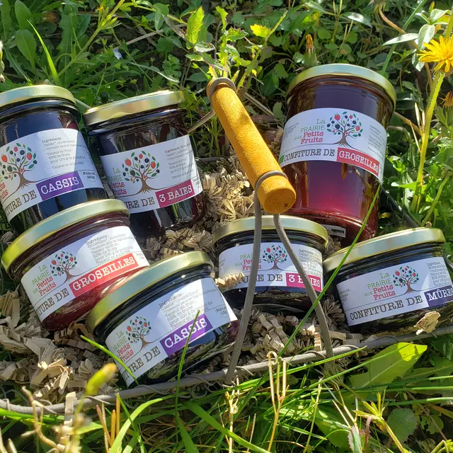 Confitures de petits fruits