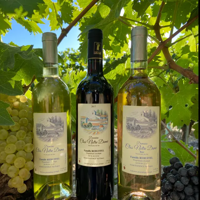 Domaine Viticole Le Clos Notre Dame_Fayence