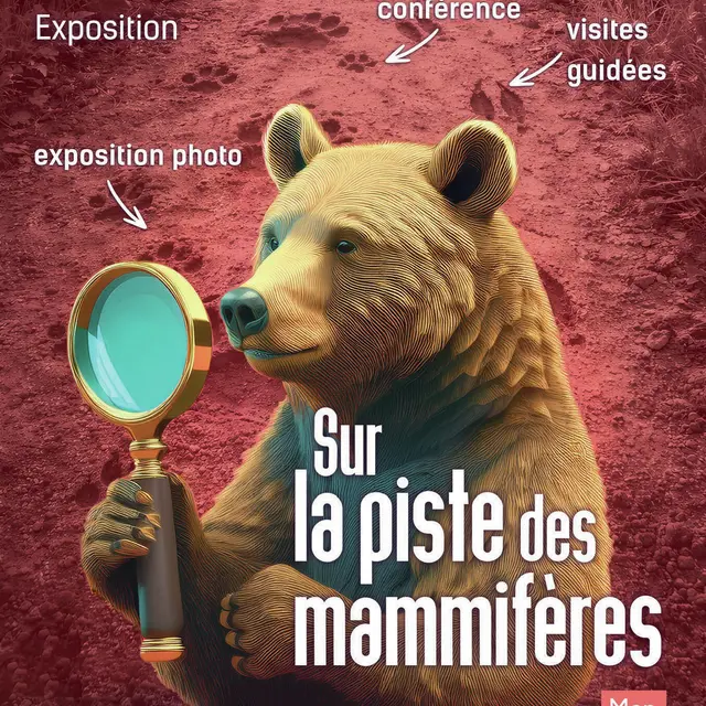 Exposition temporaire Museum Victor Brun - Sur la piste des mammifères_Montauban