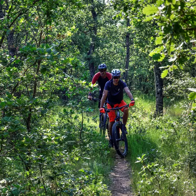 Provence Verdon VTT circuit 9