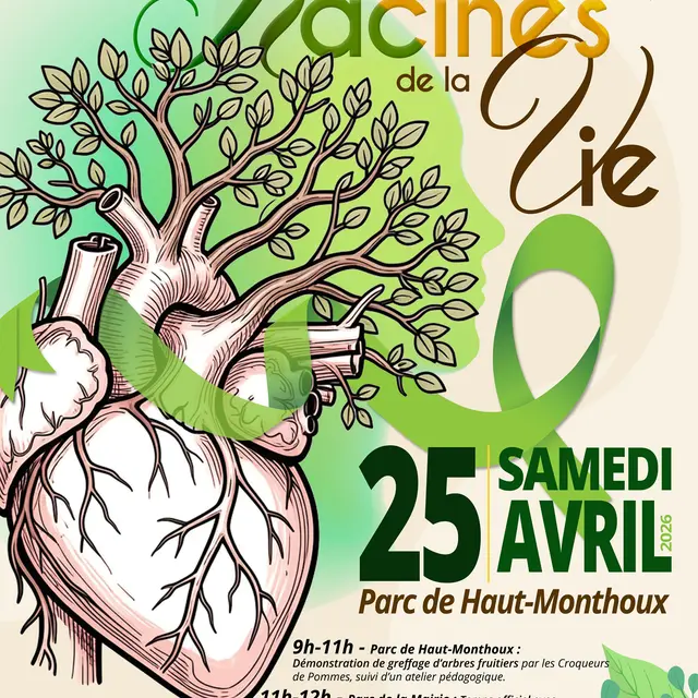 Les racines de la vie