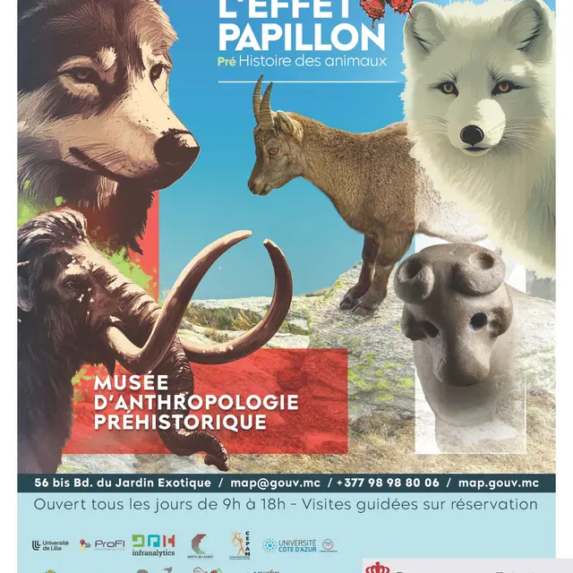 Exposition 