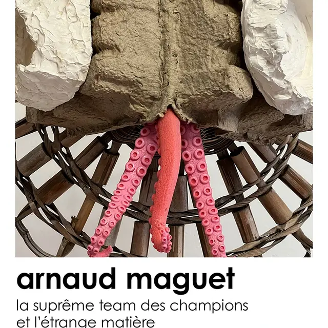 Arnaud Maguet - La suprême team des champions et l'étrange matière_Nice